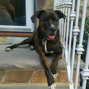 Meet your Posher, Roger